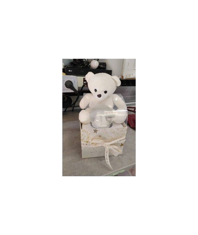ENSEMBLE BOULE A NEIGE + OURSON 