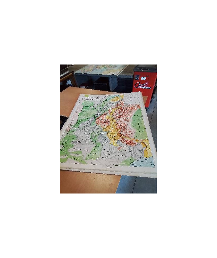 CARTE SCOLAIRE LES ALPES PAR VEYRET ET DERRUAU COLLECTION HENRI VARON  IMPRIMERIES MICHARD