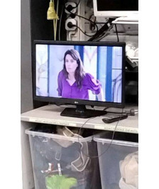 ECRAN TNT HD 60CM LG