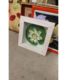 CADRE FLEUR SOUS VERRE