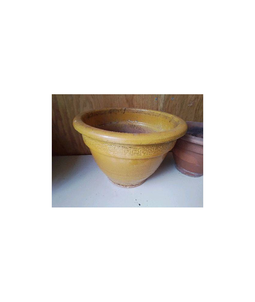 POT EN TERRE CUITE JAUNE