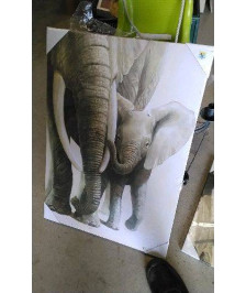 TOILE ELEPHANT 