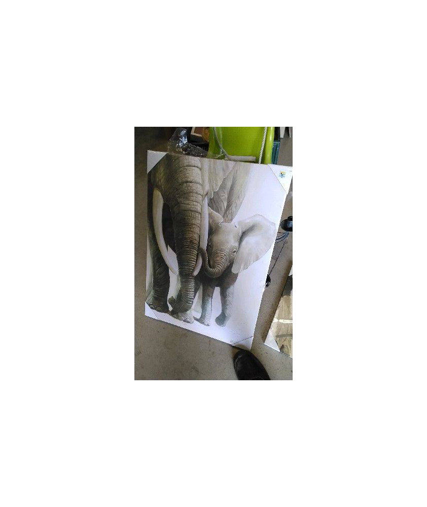 TOILE ELEPHANT 