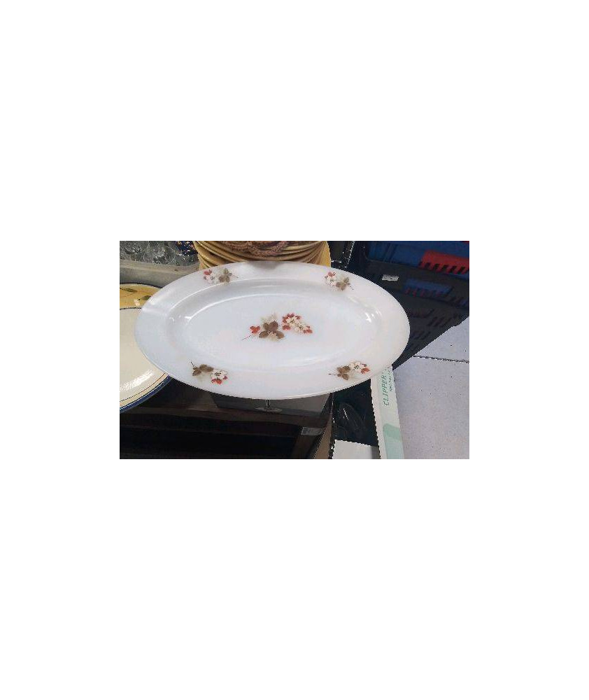 PLAT OVALE ARCOPAL