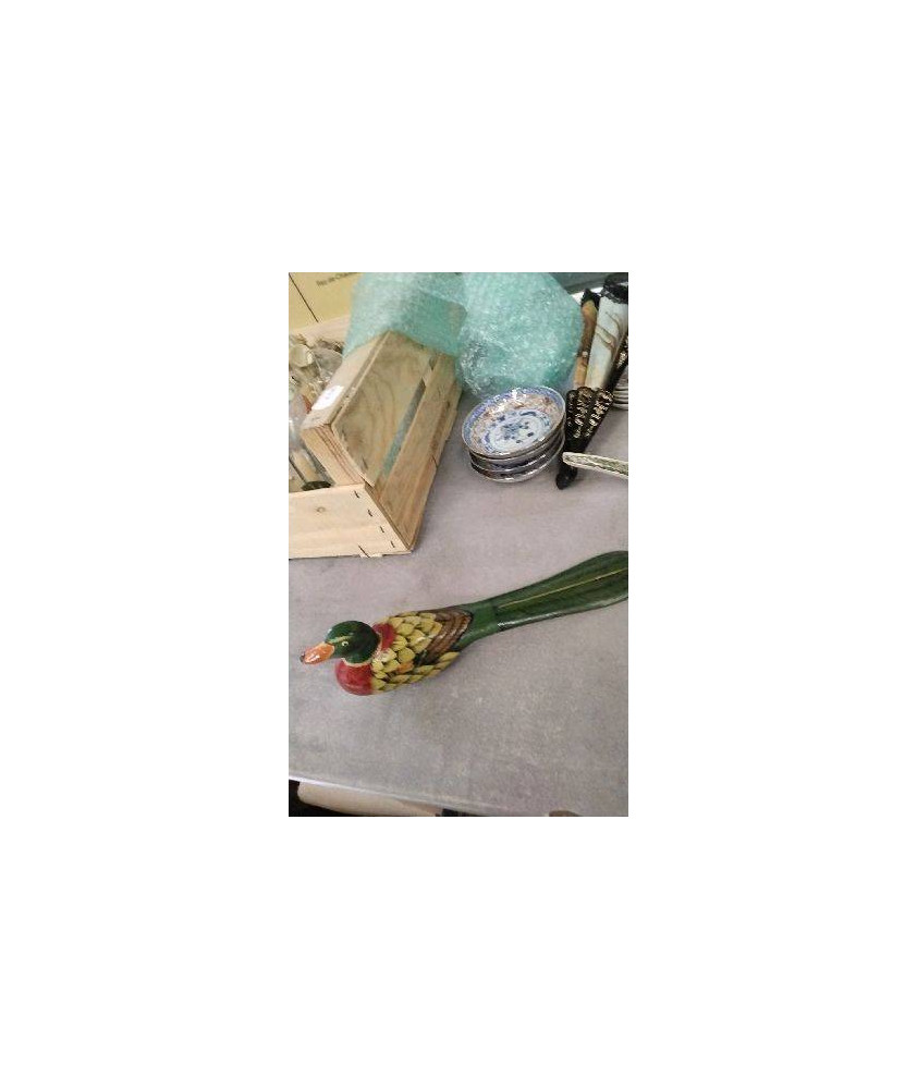 BROSSE CANARD 