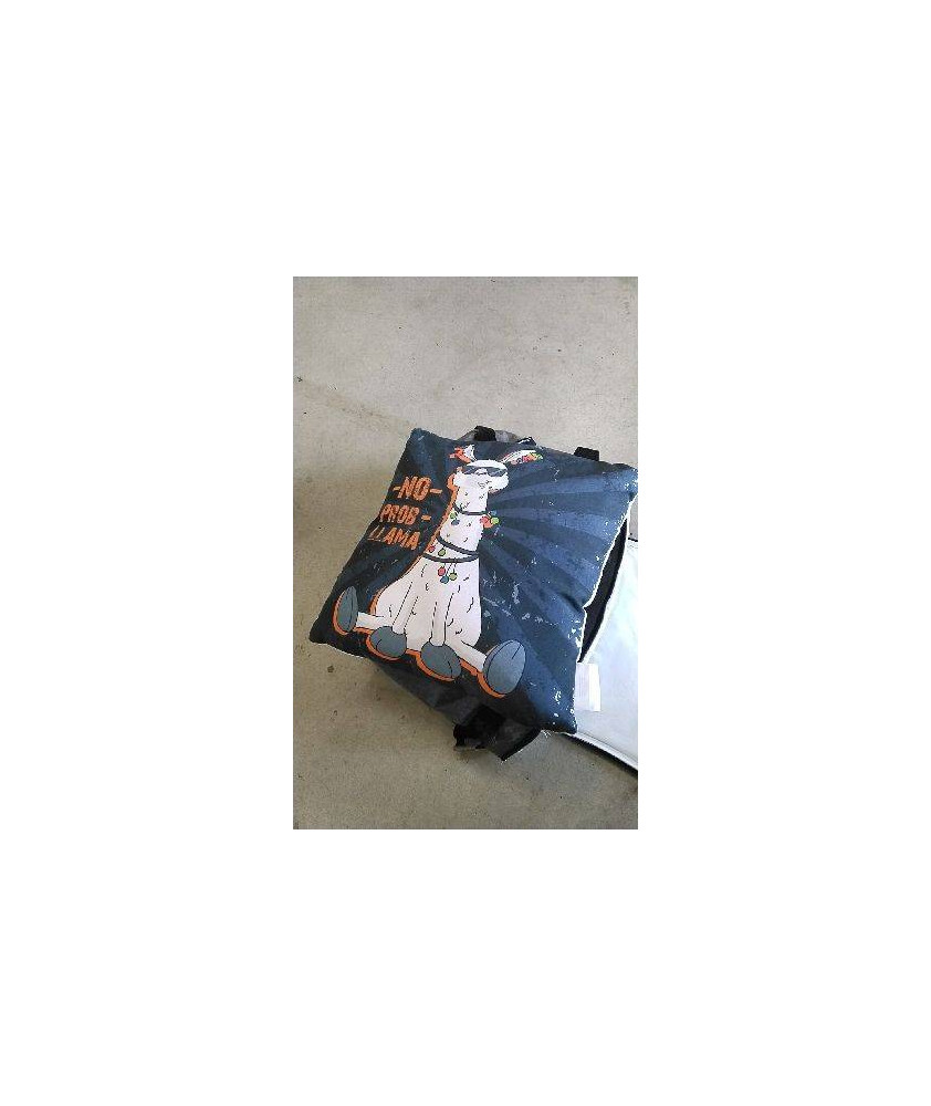 COUSSIN 