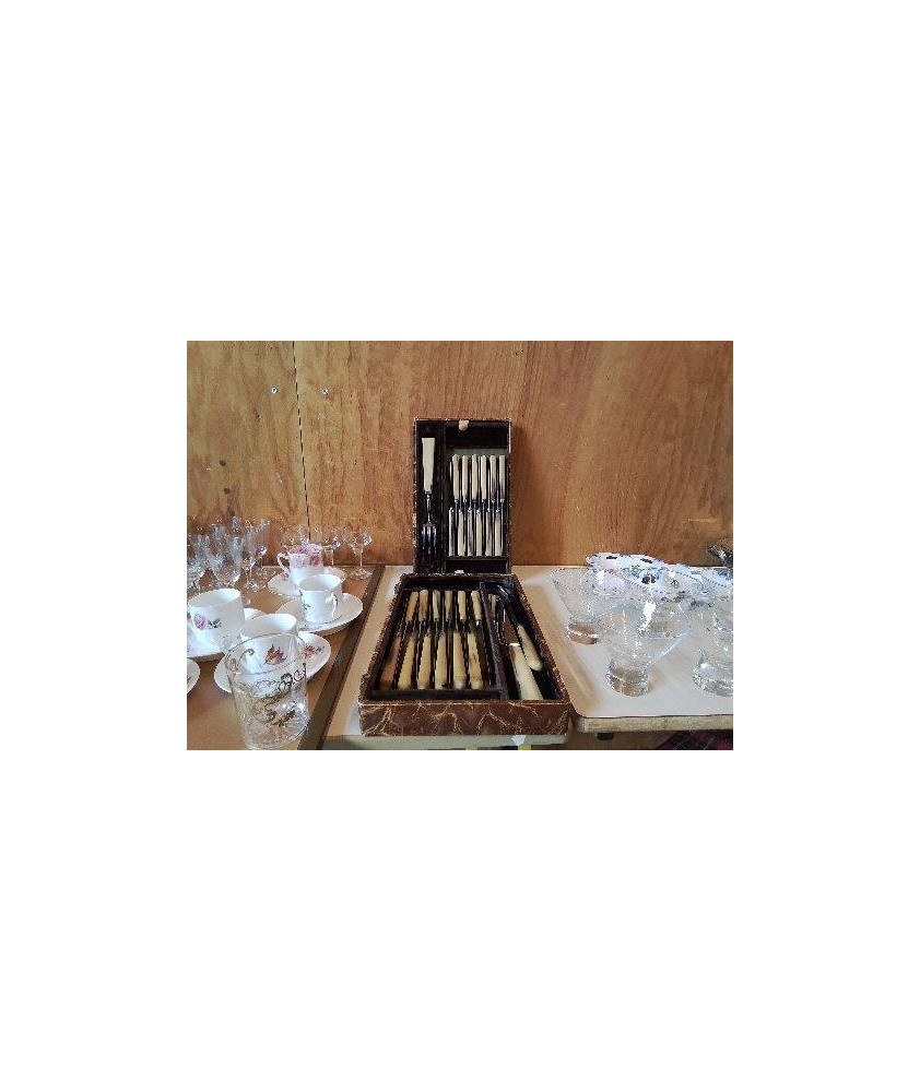 ENSEMBLE COUTEAU MANCHE CORNE 