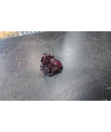 ELEPHANT RESINE PM 