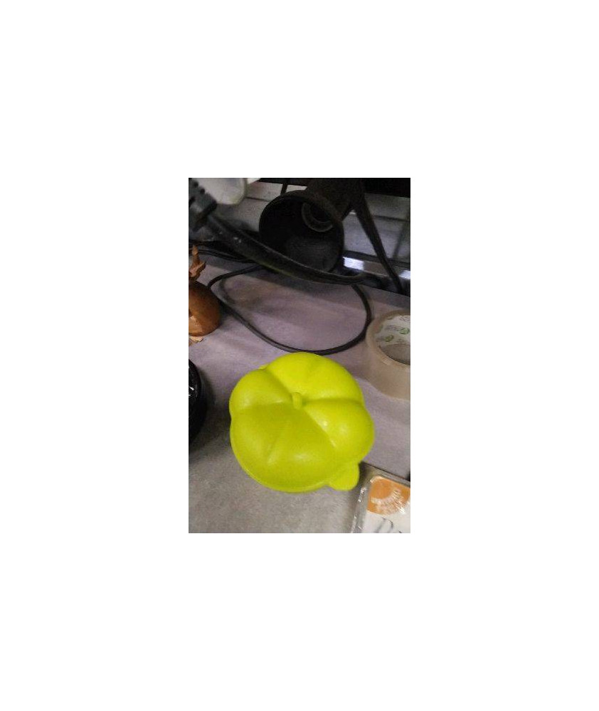 COCOTTE SILICONE PM