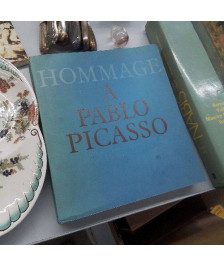 LIVRE HOMMAGE A PICASSO