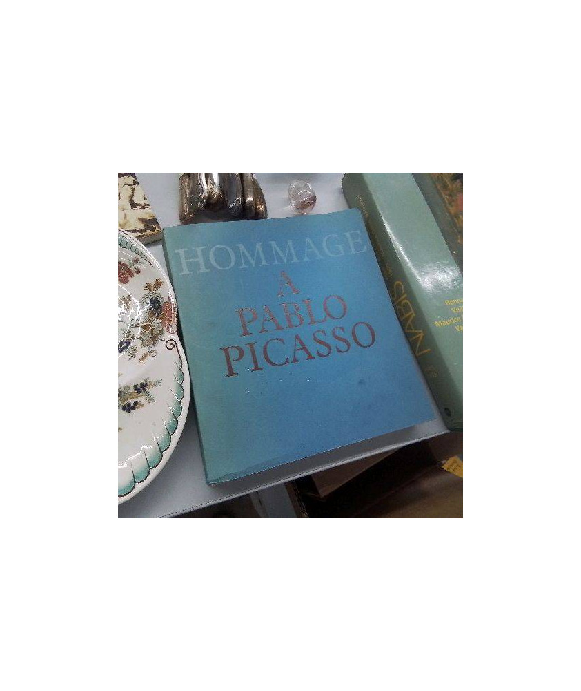 LIVRE HOMMAGE A PICASSO