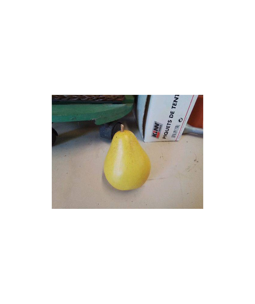 FRUIT DECO 