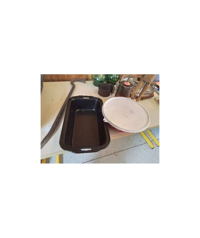 MOULE