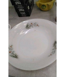 PLAT CREUX ARCOPAL 