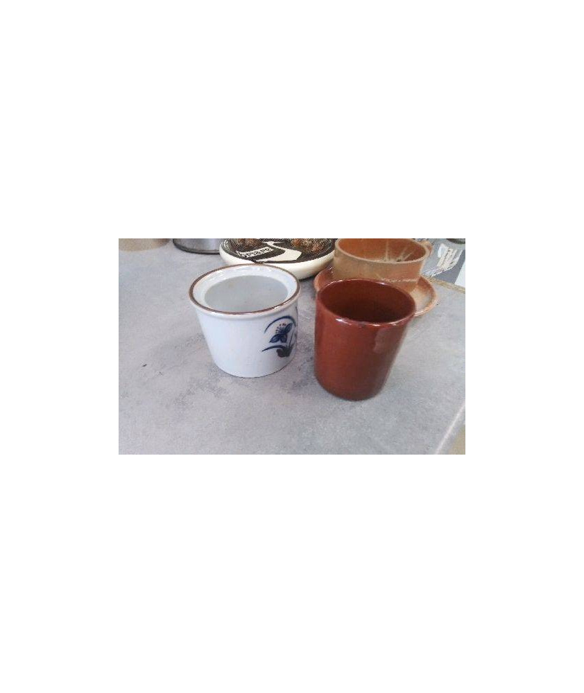 POT PM 
