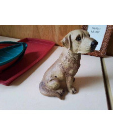 DECO CHIEN 