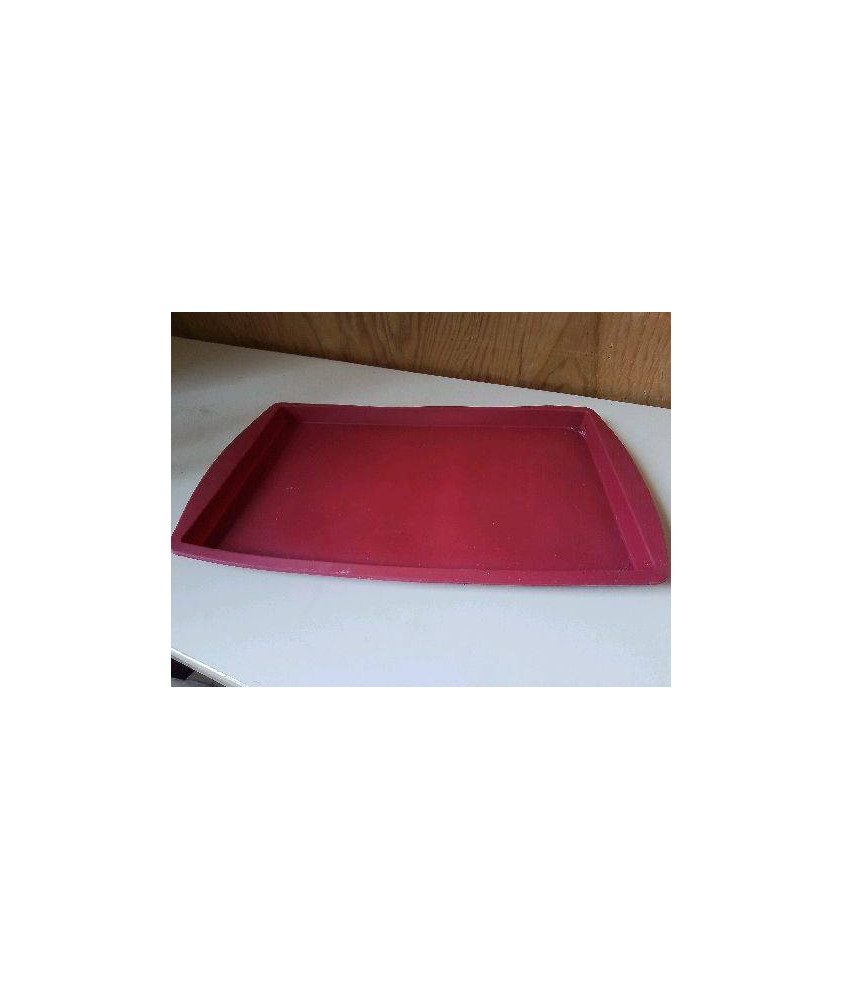 PLAT EN SILICONE 