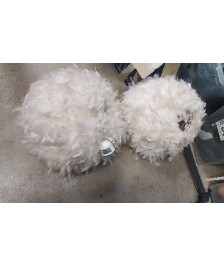SUSPENSION PLUMES 