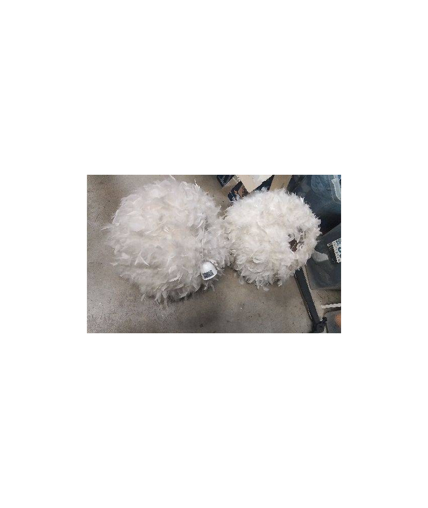 SUSPENSION PLUMES 