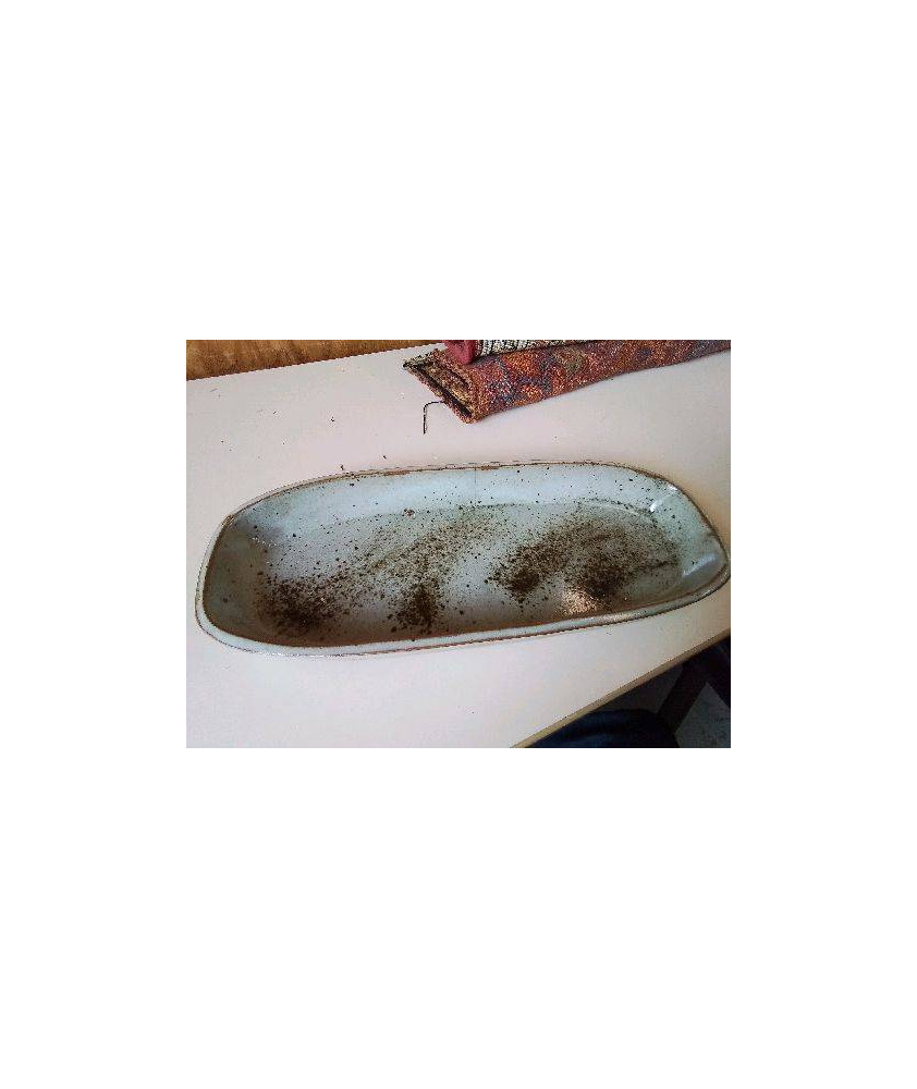 PLAT A CAKE 