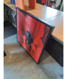 CADRE NOIR A LA FLEUR ROUGE 