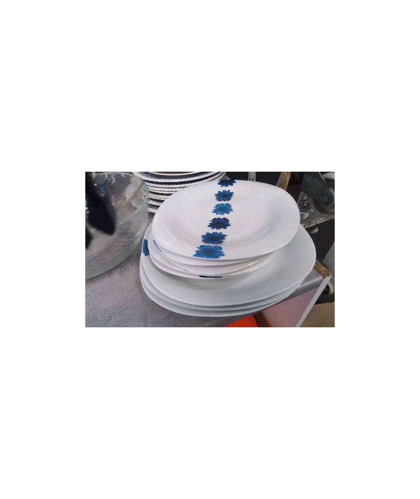 ASSIETTES FLEURS BLEUES LE LOT