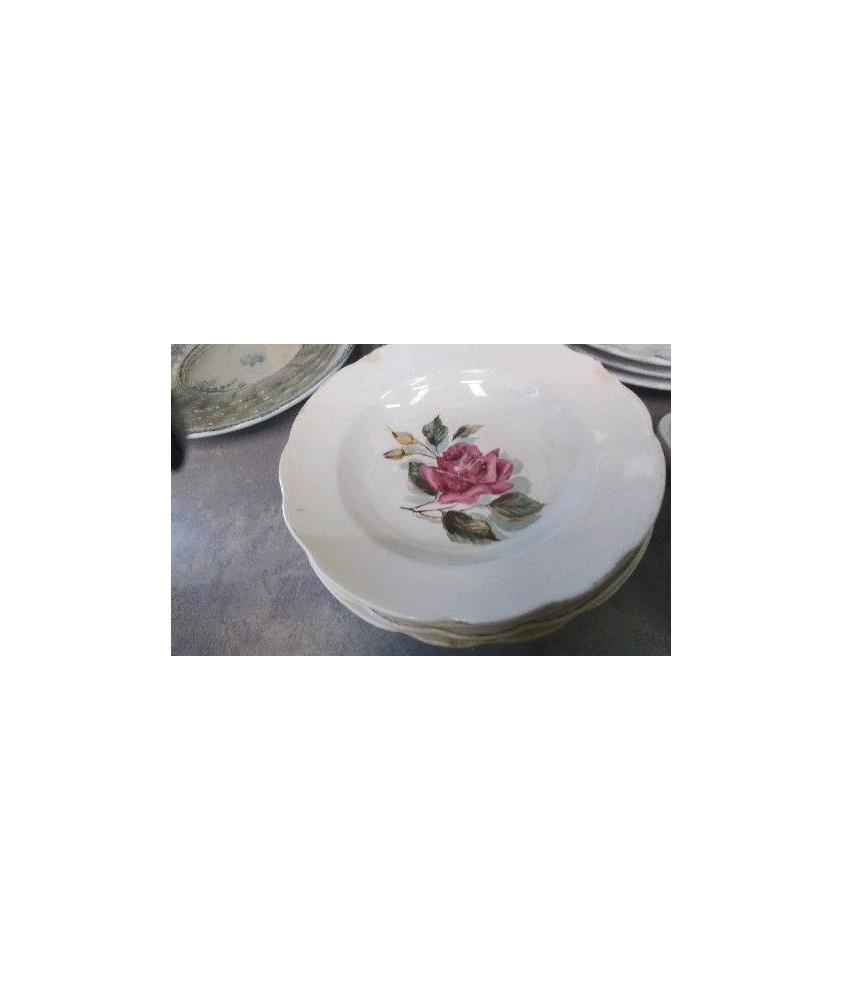 ASSIETTES CREUSES FLEURS ROSES EN ETAT LE LOT