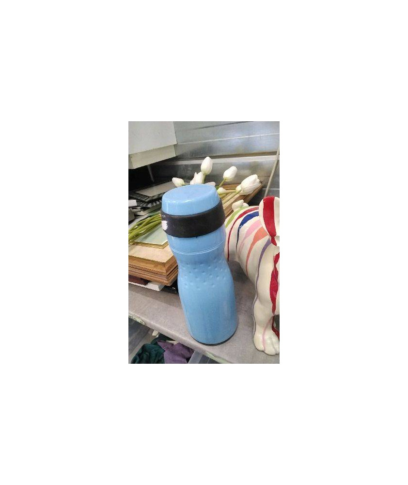 THERMOS BLEU