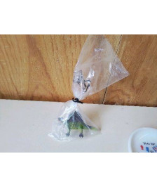 PETIT DINOSAURE 