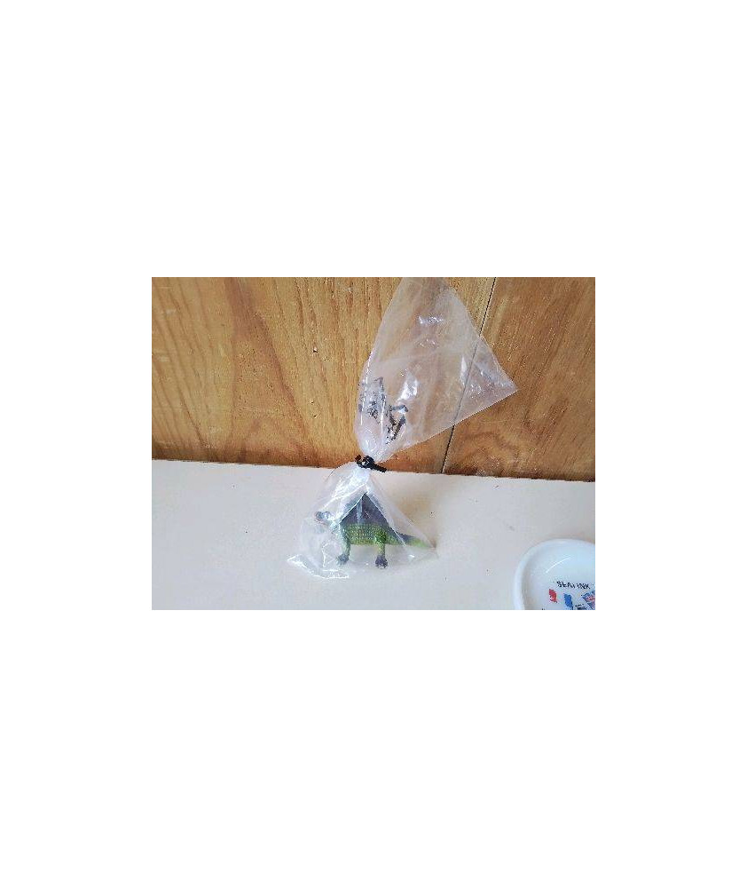 PETIT DINOSAURE 