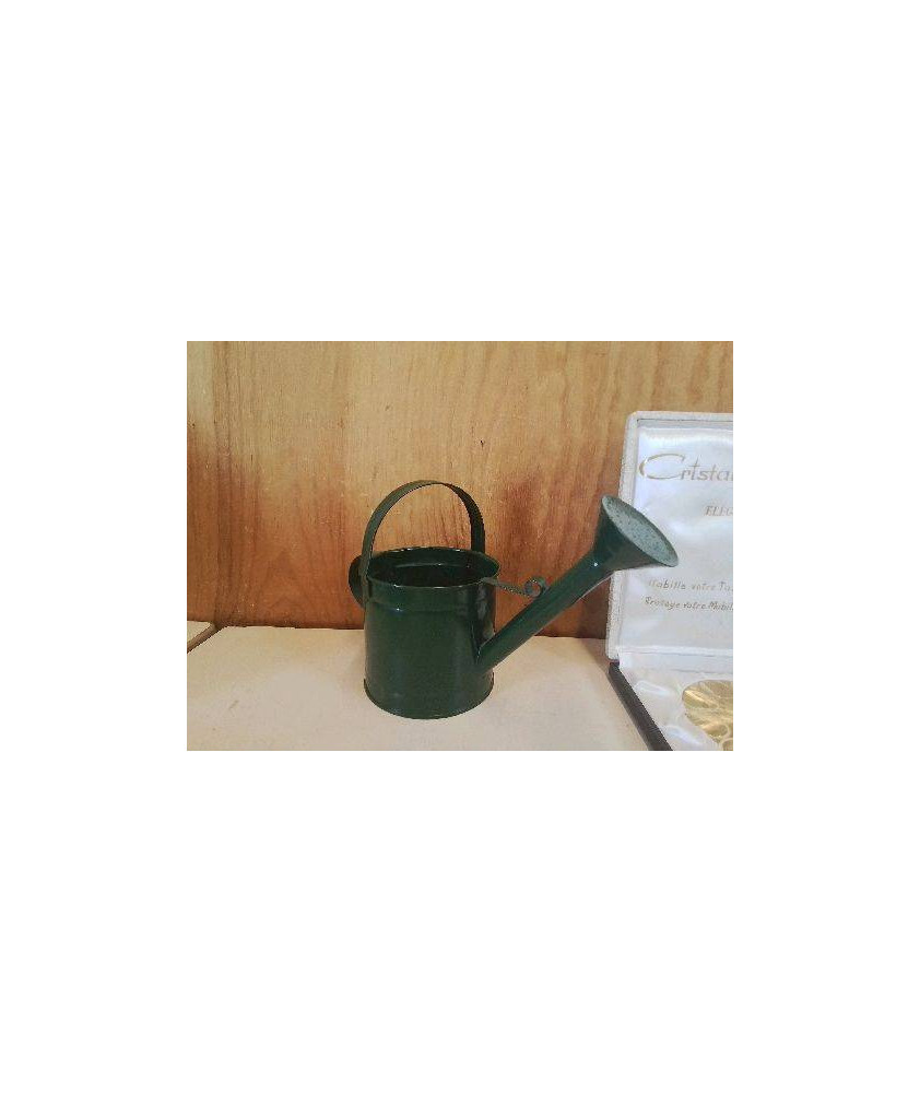 PETIT ARROSOIR VERT 