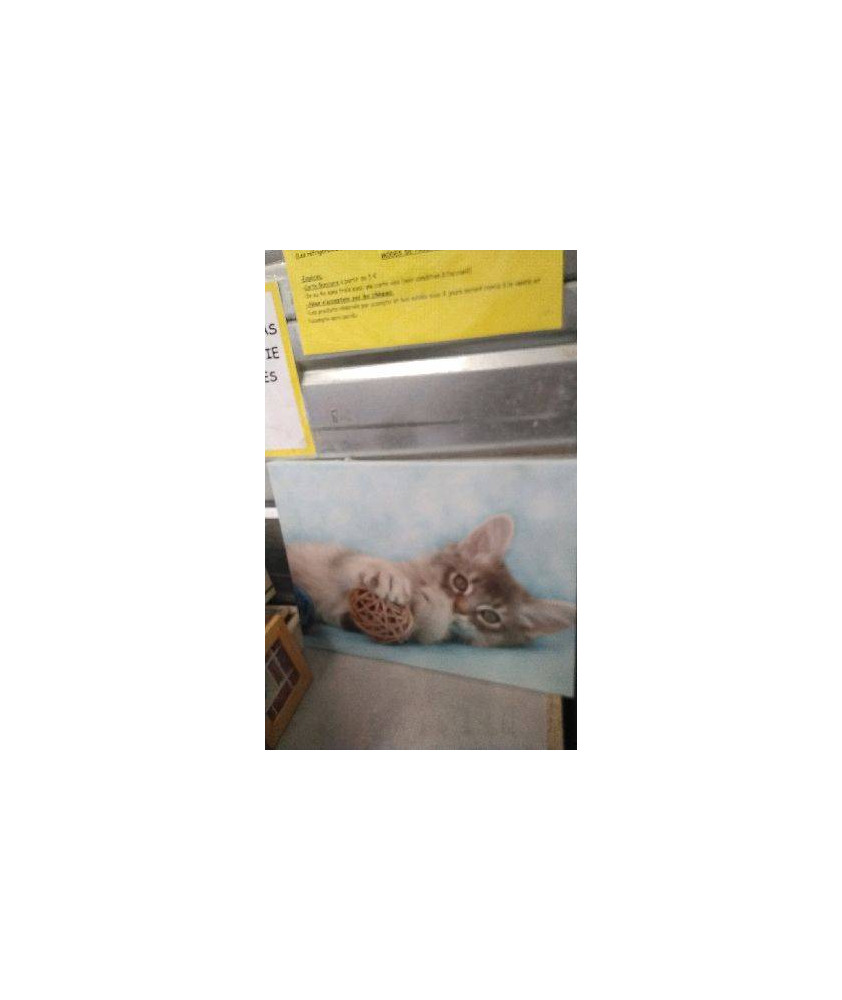 DECO TOILE CHAT