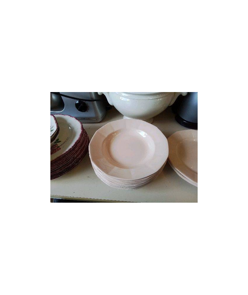 LOT DE 9 ASSIETTES CREUSES ROSE SARREGUEMINES 