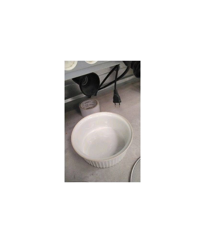 PLAT CREUX 