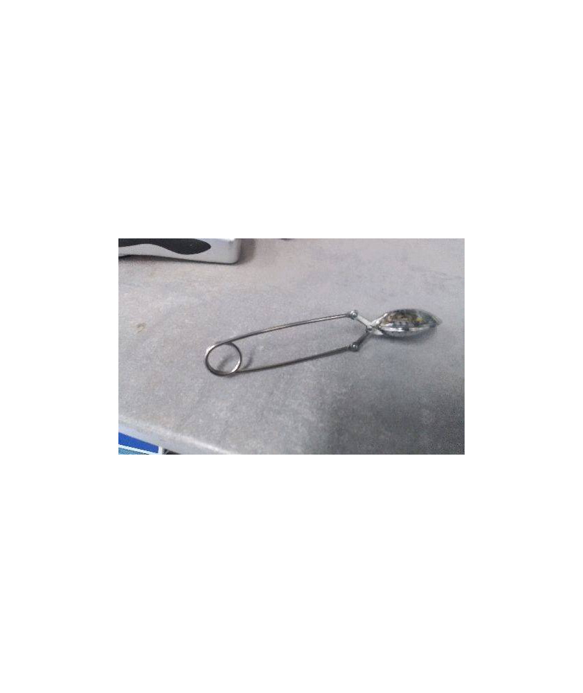 CUILLERE A THE