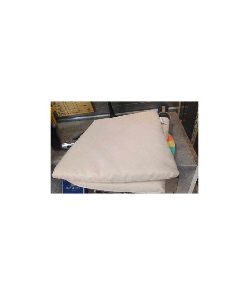 COUSSIN CHAISE X2