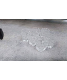 VERRES A LIQUEUR X6 