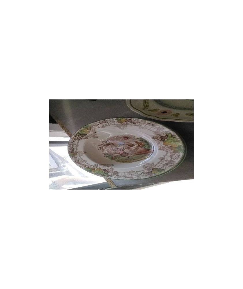 ASSIETTE CREUSE DECO