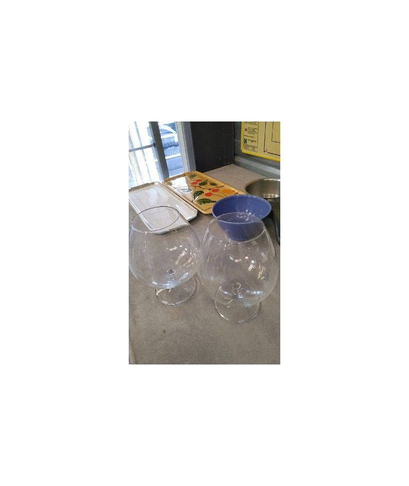 VERRE COGNAC X2