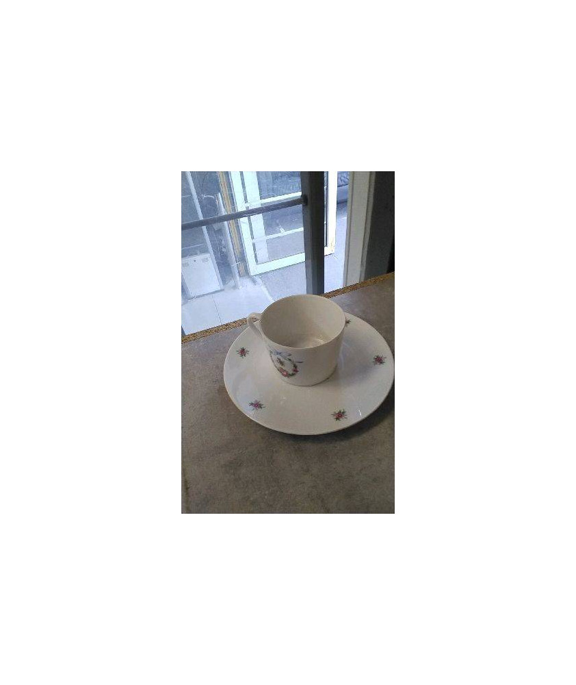 TASSE GM