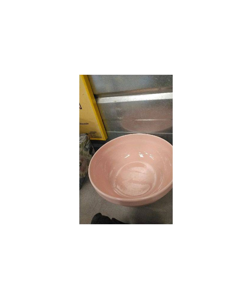 SALADIER ROSE