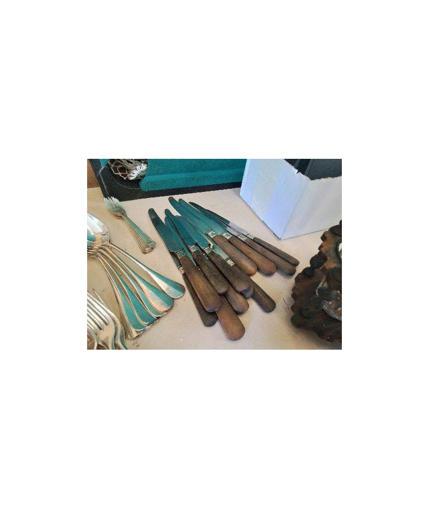 LOT DE 12 COUTEAUX 