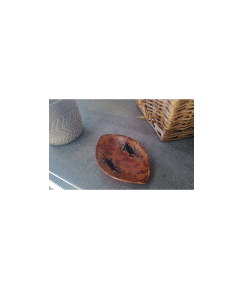 COUPELLE SALAMANDRE