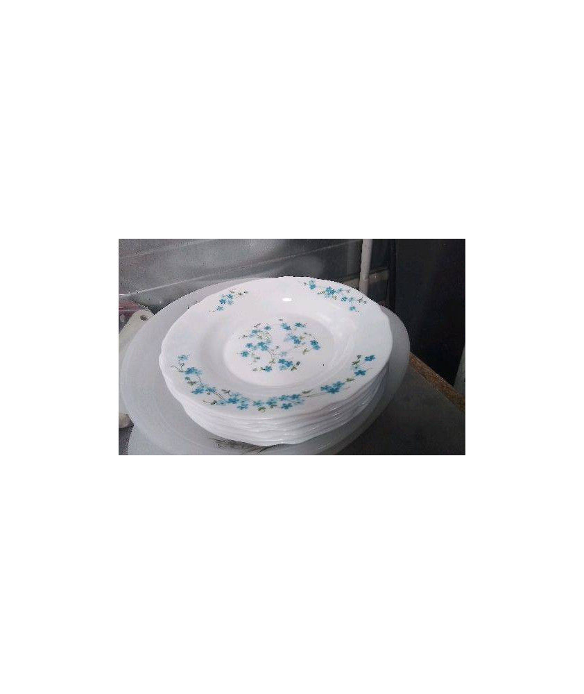 ASSIETTES CREUSES ARCOPAL 