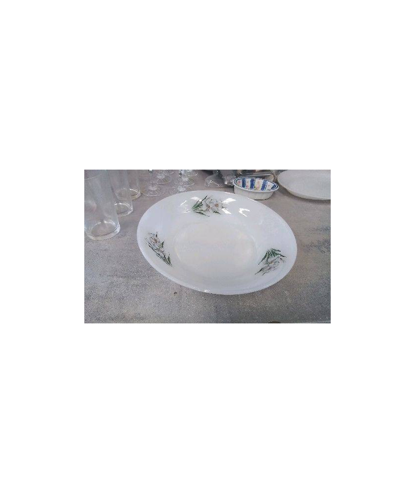 PLAT CREUX ARCOPAL 