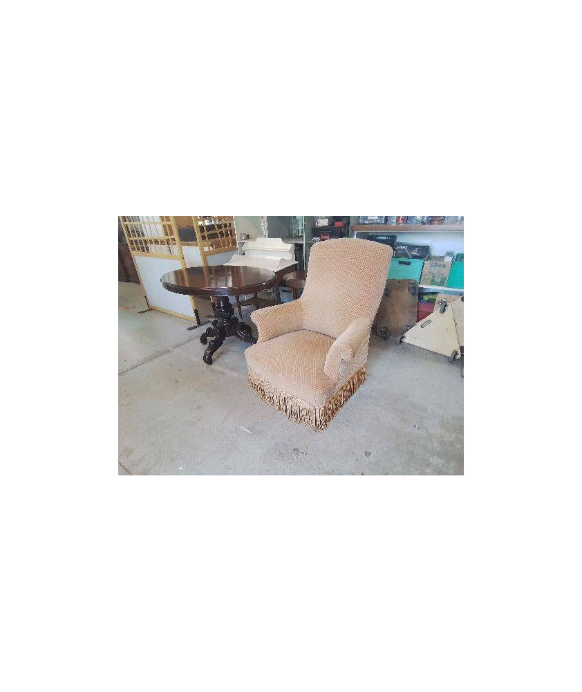FAUTEUIL STYLE NAPOLEON VELOUR TEXTURÉ