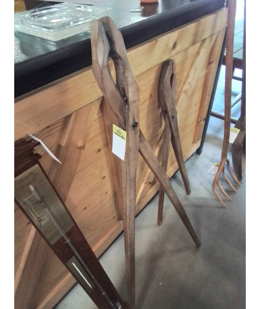 PINCE A CHARDON COURTE  BOIS
