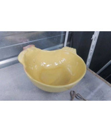SALADIER POULE 