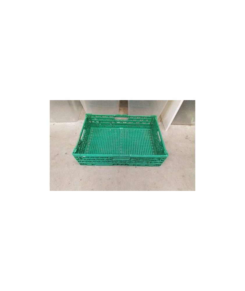 CAISSE PLASTIQUE VERTE 