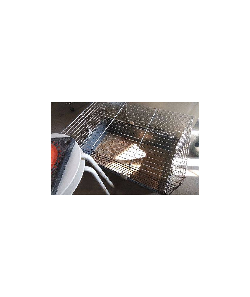 CAGE A LAPIN EN L\'ÉTAT 